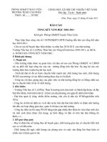 Báo cáo tổng kết năm học 2010 2011(TH)