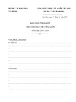 Mẫu báo cáo tổng kết Tổ chuyên môn