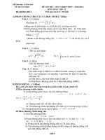 Đề Đáp án thi thử THPT HCM 2011 Toán