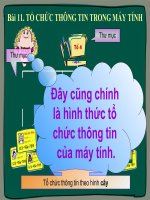Tin 6 Bài 11Tổ chức thông tin trong máy tính
