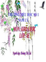 Trao đổi chất ở động vật