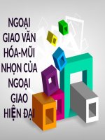 Bài giảng ngoại giao văn hóa   mũi nhọn của ngoại giao hiện đại