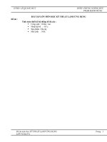 Tính toán thiết kế hệ thống bể đá cây