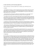 THỜI CƠ VÀ THÁCH THỨC VN KHI RA NHẬP WTO