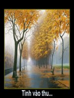 Tinh Vao Thu