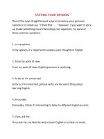 STATING YOUR OPINION