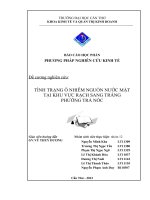 BÁO CÁO HỌC PHẦN PHƯƠNG PHÁP NGHIÊN CỨU KINH TẾ TÌNH TRẠNG Ô NHIỄM NGUỒN NƯỚC MẶT  TẠI KHU VỰC RẠCH SANG TRẮNG  PHƯỜNG TRÀ NÓC