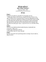 de thi cuoi ki I mon tieng viet 5