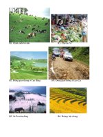 Tư liệu về vungTD và MN Bắc Bộ (hình ảnh)