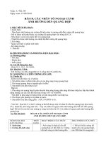 Bài 10. Ảnh hưởng của các nhân tố ngoại cảnh đến quang hợp.