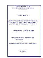 Nghiên cứu đặc điểm của một số dòng lúa bố mẹ tại Nam Trung Bộ và Tây Nguyên góp phần phát triển sản xuất hạt lai F1 vụ xuân muộn