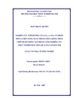 nghiên cứu ảnh hưởng của ga3, α naa và phân bón lá đến năng suất, phẩm chất giống nhãn chín muộn htm1 tại trung tâm nghiên cứu thực nghiệm rau hoa quả gia lâm hà nội