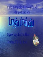 Luyện tập về câu hỏi