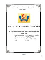 Tiểu luận hiện trạng công nghiệp tách các nguyên tố đất hiếm ở việt nam