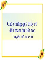 Câu hỏi và dấu chấm hỏi