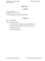 cac ky thuat su dung BDT Cosi