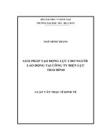 Giải pháp tạo động lực cho người lao động tại Công ty Điện lực Thái Bình