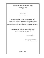 Nghiên cứu tổng hợp một số dẫn xuất của indenoisoquinolin có mạch nhánh là các hydrocarbon