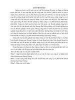 Thực trạng hoạt động sản xuất kinh doanh của công ty cổ phần kinh doanh thương mại hưng vượng 