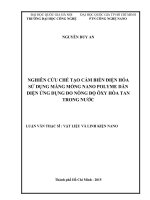 Nghiên cứu chế tạo cảm biến điện hóa sử dụng màng mỏng nano polyme dẫn điện ứng dụng đo nồng độ oxy hòa tan trong nước 