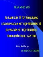 So sánh gây tê tủy sống bằng levobupivacain kết hợp fentanyl và bupivacain kết hợp fentanyl trong phẫu thuật lấy thai 