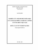 Khoá luận tốt nghiệp nghiên cứu thành phần hóa học của loài sao biển anthenea aspera ở vùng biển việt nam 