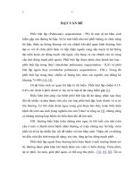 Nghiên cứu đặc điểm lâm sàng, cận lâm sàng của bệnh phổi biệtlập