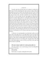 Đề án Tác động của MA xuyên quốc gia và bài học cho Việt Nam