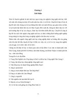 báo cáo tham quan tại tiền giang  thành phố hồ chí minh  bình dương   bình thuận   đà lạt 