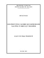 Giải pháp nâng cao hiệu quả kinh doanh tại Công ty Điện lực Thái Bình