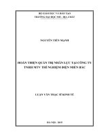 Hoàn thiện quản trị nhân lực tại công ty TNHH MTV Thí nghiệm Điện miền Bắc