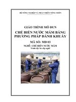 CHẾ BIẾN NƯỚC MẮM BẰNG PHƯƠNG PHÁP ĐÁNH KHUẤY