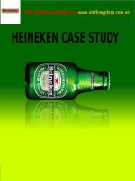 heineken case study business analysis