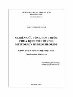 Khoá luận tốt nghiệp nghiên cứu tổng hợp thuốc chữa bệnh tiểu đường metformin hydrochiloride