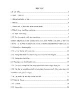 Tâm lý trong hoạt động marketing và ứng dụng trong quản trị kinh doanh sản phẩm Cocacola truyền thống của công ty Cocacola tại thị trường Việt Nam