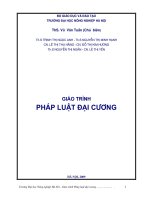giáo trình pháp luật đại cương