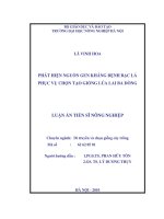 phát hiện nguồn gen kháng bệnh bạc lá phục vụ chọn tạo giống lúa lai ba dòng