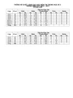 Thống kê chất lượng môn Tin học kì 2 (2010 2011)