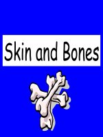 LET''S LEARN ENGLISH WITH A SMILE: SKIN AND BONES