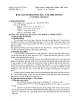 Báo cáo y tế học đường