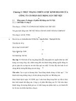 THỰC TRẠNG CHIẾN lược KINH DOANH của CÔNG TY cổ PHẦN bất ĐỘNG sản TRÍ VIỆT 