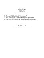 Đề THI NGỮ VĂN 7 HKII Năm học:2010 2011