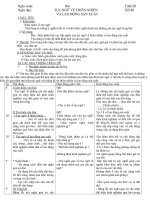 Giáo án Ngữ văn 7 tuần 20