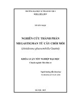 Nghiên cứu thành phần tritecpen từ cây đơn châu chấu (aralia armata)