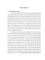 Phát triển các dịch vụ tài chính đối với doanh nghiệp vừa và nhỏ tại Ngân hàng Nông Nghiệp Việt Nam