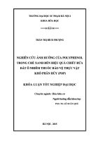 Khoá luận tốt nghiệpnghiên cứu ảnh hưởng của polyphenol trong chè xanh đến hiệu quả chiết rửa đất ô nhiễm thuốc bảo vệ thực vật khó phân hủy (POP) 