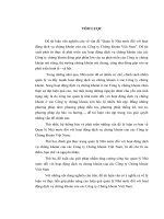 Quản lý nhà nước đối với hoạt động dịch vụ chứng khoán của các công ty chứng khoán việt nam (2) 