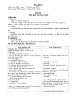 Giáo an tiếng việt 5 tuần 1