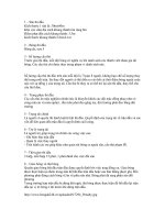 Luật Bóng Đá 7 Người