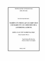 Khoá luận tốt nghiệp nghiên cứu phân lập các hợp chất coumarin từ cây chòi mòi chua (antidesma acidum) 
